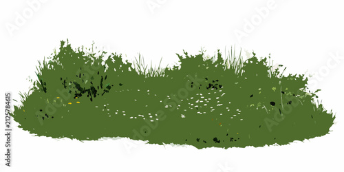 Fotografía Wildflower meadow with green grass and small white blossoms on a transparent bac