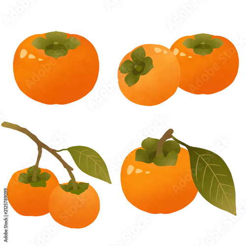 Fairy tale-style persimmon illustration