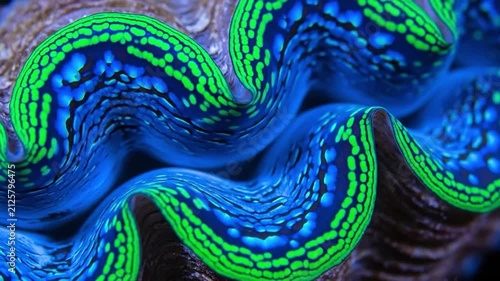 Vibrant blue and neon green giant clam mantle macro close up showing bioluminescent texture marine life abstract pattern underwater