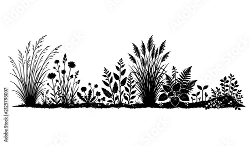 Obraz na płótnie Grass and plant silhouette collection with botanical landscape elements for gard