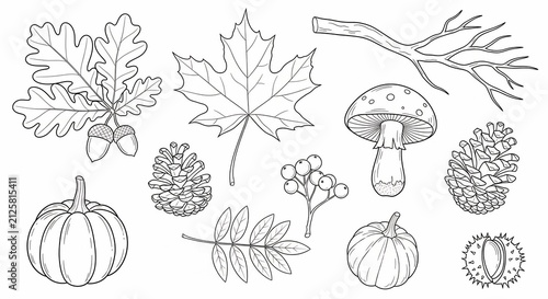 Whispers of the Harvest: A Monochromatic Ode to Autumn's Bounty