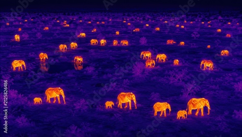 Thermal image showing a large herd of elephants scattered across a dark landscape, highlighting their heat signatures in bright colors.