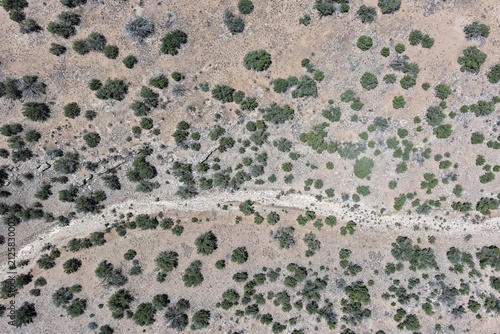 The Many Views of the Arizona Desert