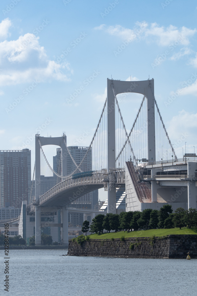 Fototapeta premium rainbow bridge daytime view in tokyo with modern architecture and buildings