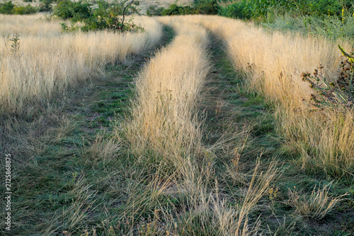 Photo of a road among wild grass