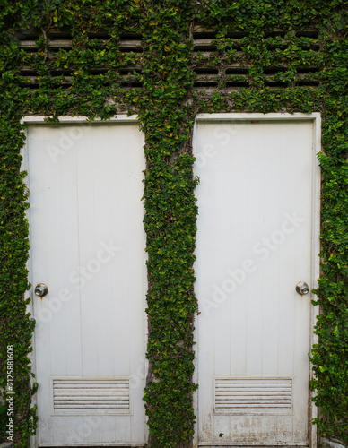 old green door