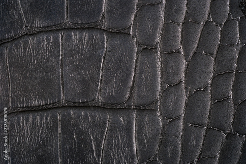 Canvas Print Black crocodile leather texture close up with embossed reptile scales and matte