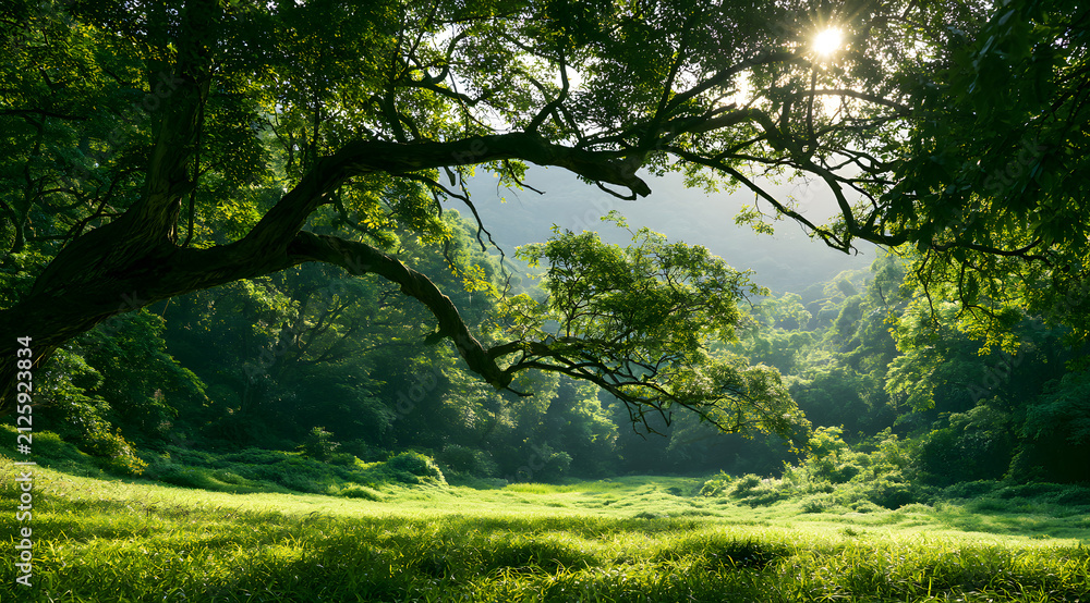 Fototapeta premium Sunlight pierces through the dense forest canopy, bathing the lush green grass and gnarled tree branches in verdant hues. The verdant jungle landscape is adorned with thick foliage and undulating hill