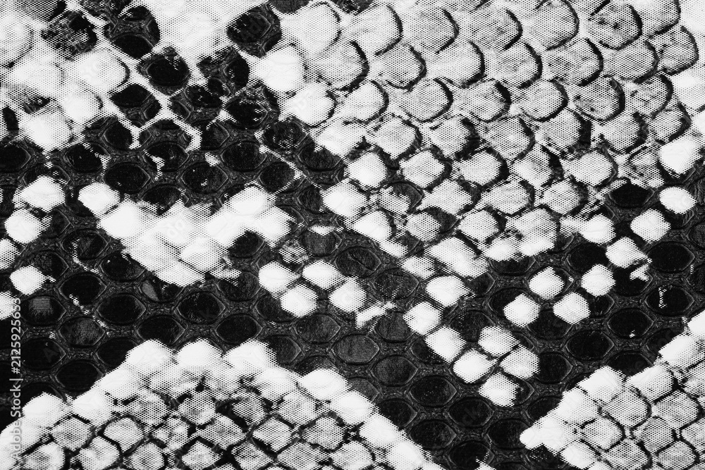 Naklejka premium Black and white snake skin texture detail