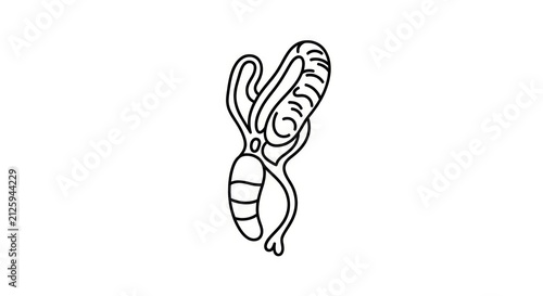Simple line drawing of a scorpion.