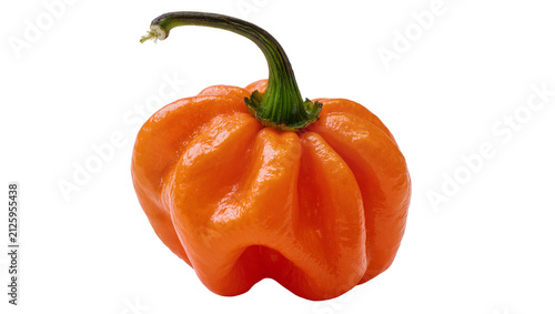 Obraz na płótnie Bright orange habanero pepper with green stem, isolated on transparent backgroun