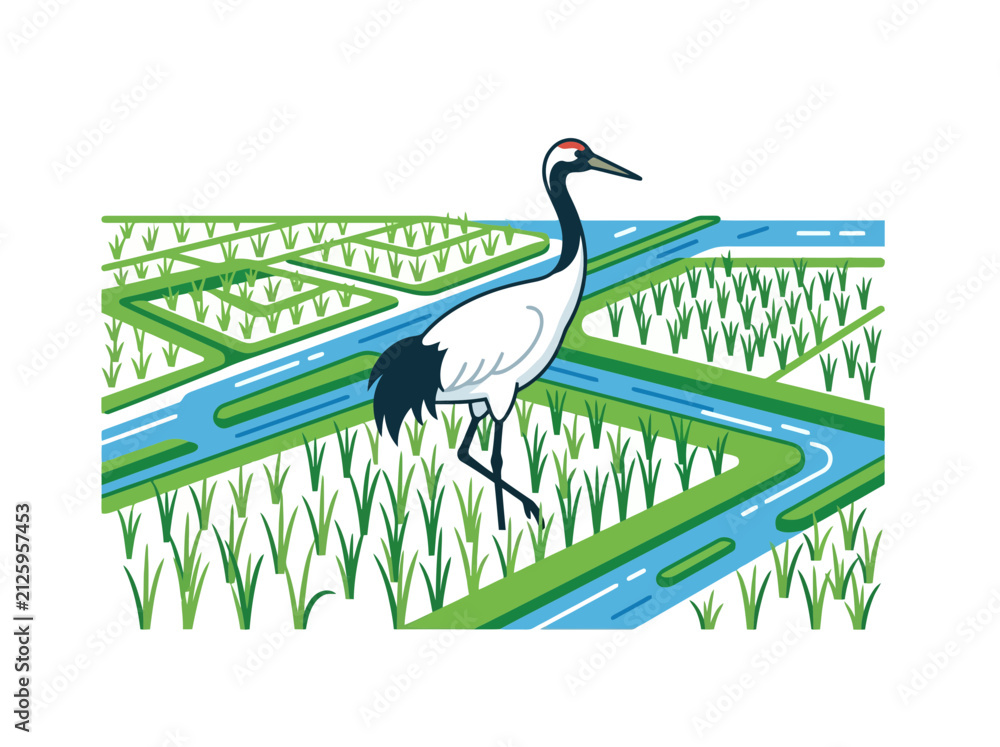 Obraz premium A majestic red crowned crane standing gracefully in a lush green rice paddy field.