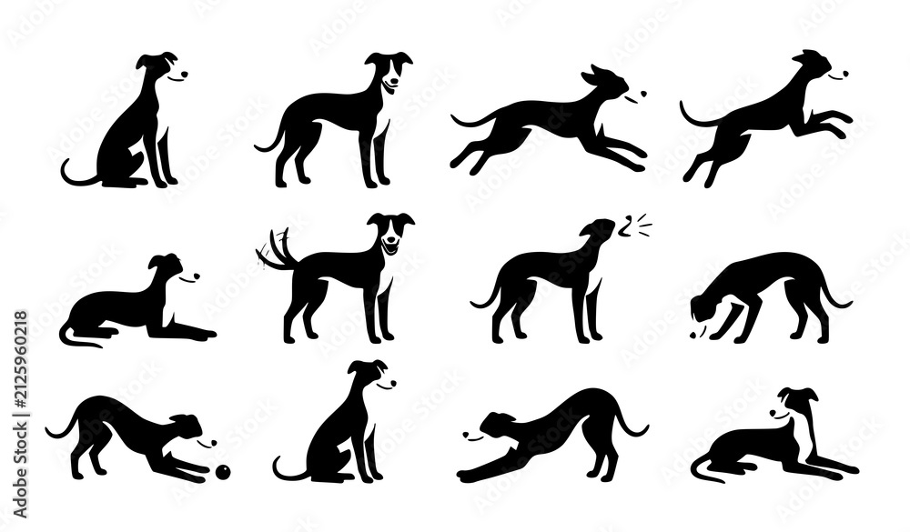 Fototapeta premium greyhound, dog, canine, pet, behavior, vector, illustration, flat, bundle, collection, character, mascot, running, sitting, standing, barking, sleeping, playing, stretching, training, editable, isolat