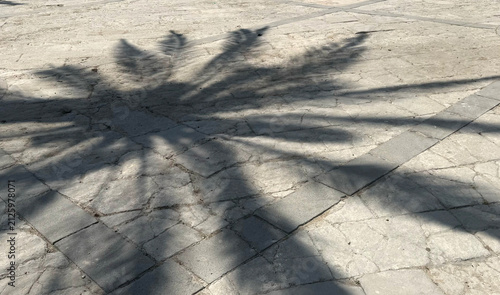 Low angle view of tall palm trees against a clear blue sky, with sunlight shining through green fronds. The set includes a dark palm foliage shadow cast on a textured stone pavement.