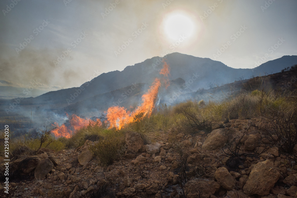 Fototapeta premium Wildfire burns through rocky desert terrain. Smoke rises against a bright sun. Mountains loom in the distance, silent and steep. Earthly heat and smoke dominate the scene