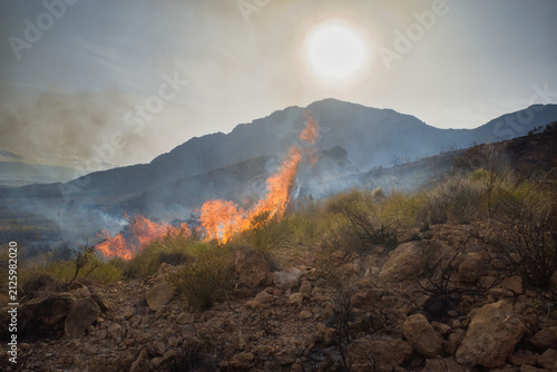 Wildfire burns through rocky desert terrain. Smoke rises against a bright sun. Mountains loom in the distance, silent and steep. Earthly heat and smoke dominate the scene