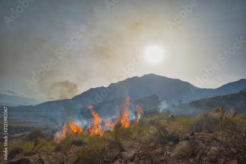 Wildfire burns through arid scrubland. Smoke drifts upward, silhouetted against the sun. Rugged mountains stand in the distance. Flames dance among dry brush and rocks