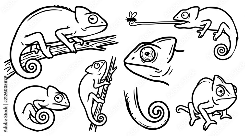 Fototapeta premium Black and white chameleon vector illustration set