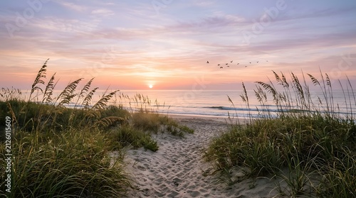 A beautiful view of a sandy path leading through beach dunes towards the ocean during a soft pastel colored sunrise morning