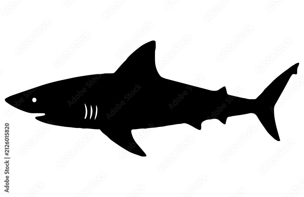 Fototapeta premium Black shark silhouette on white background, ocean marine