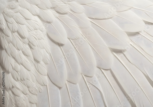 Close-up view of a white feathered wing with intricate details and textures