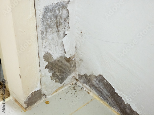 Severe moisture damage and peeling paint on an interior wall corner near floor tiles