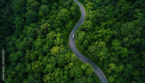 Aerial forest road curve car amid dense green tropical woodland canopy