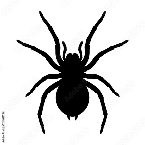 Fotografie Spider Silhouette Vector, Black Spidey Graphic, Halloween Horror Symbols, Scary