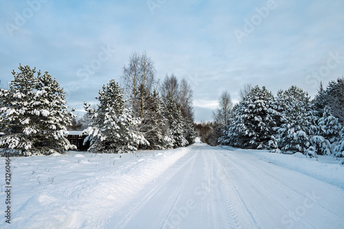 Country road in a snowy forest. Rural landscape.