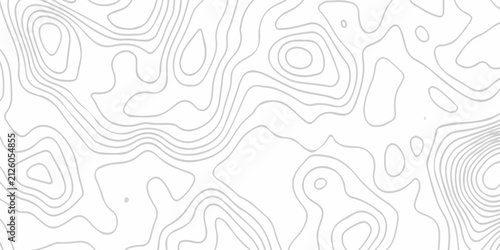 Fotografía White abstract wave paper spiral area world topography map curved reliefs design