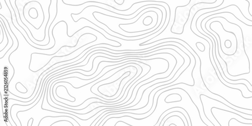 Fotografía White abstract wave paper spiral area world topography map curved reliefs design