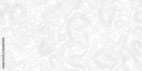 Bild auf Leinwand White abstract wave paper spiral area world topography map curved reliefs design