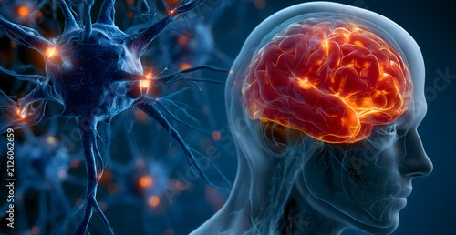 Human brain engaging, showing active brain areas and neural networks with impulses, illustrating intelligence and mental processes