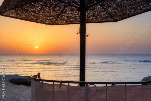 Sunbeds with umbrellas on the beach in Marsa Alam at sunrise, Egypt