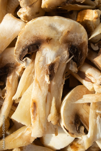 Konstfotografi Detailed macro photograph of freshly sliced mushrooms showing texture, gills and natural colors