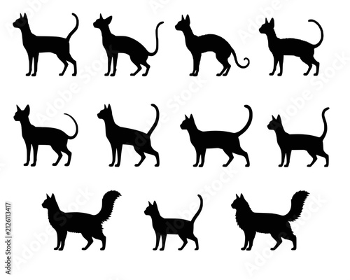 Bild auf Leinwand Hairless and Exotic Cat Breeds Silhouette Set