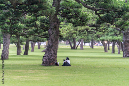 Japanese women resting in a pine garden