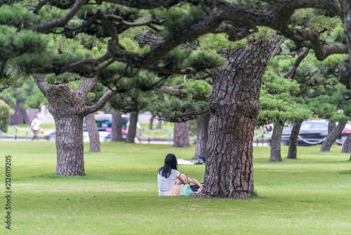 Japanese women resting in a pine garden