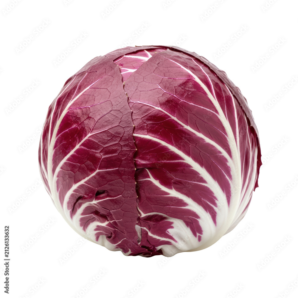 Obraz premium A fresh vibrant head of red radicchio chicory vegetable isolated on a white background highlighting its unique intricate leaf structure pattern