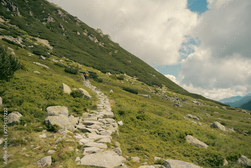 Fototapeta premium A paved stone hiking trail winding through lush dwarf pine shrubs towards steep mountain slopes in Zakopane, Poland.
