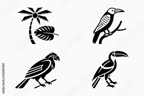 Four black and white birds perched on branches with palm tree