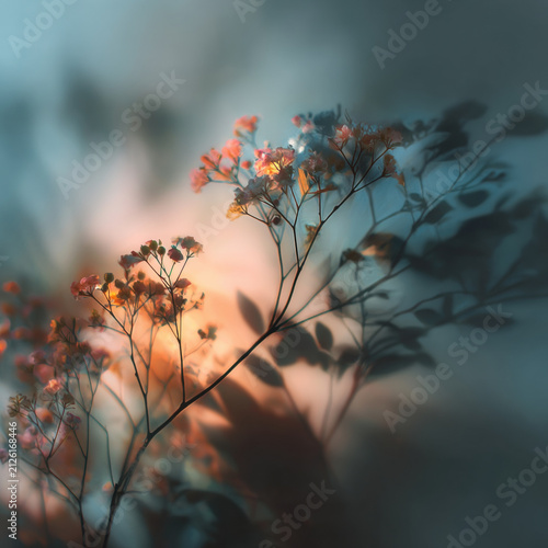 Soft blur flower stem muted color calming background delicate wildflower silhouette bokeh with pastel light and tranquil botanical mood in abstract nature scene