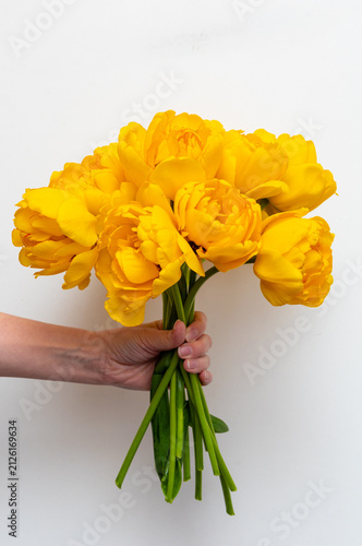 yellow flowers on white background Stock Photo