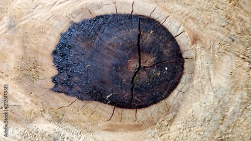 old wood texture