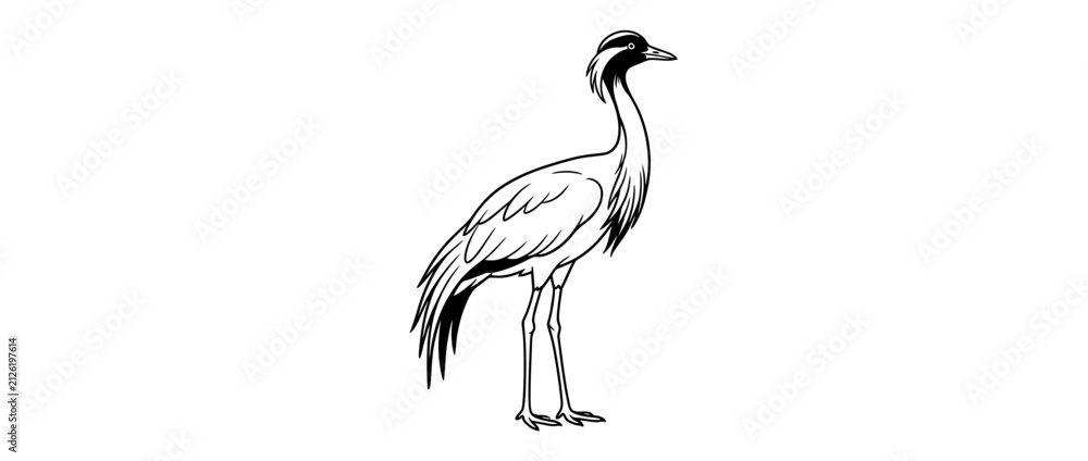 Obraz premium Elegant bird illustration, isolated on transparent background