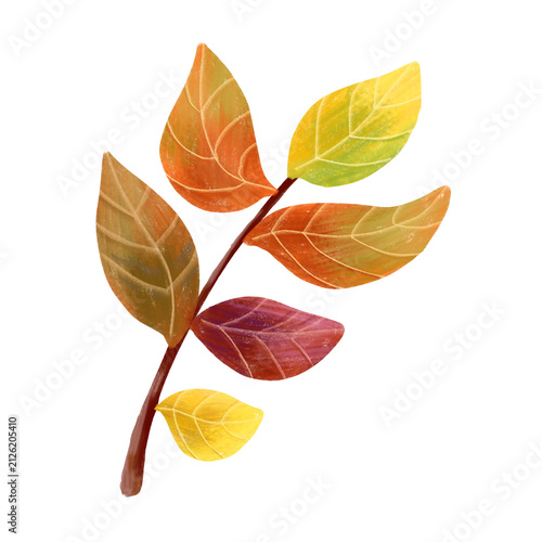 Illustration of autumn leaves branch. Featuring colorful fall foliage in warm seasonal tones for Thanksgiving and fall season.