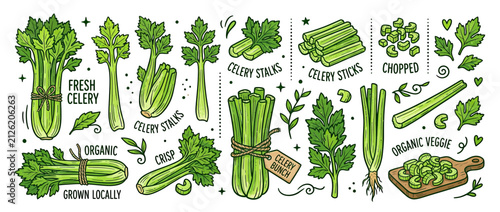 Konstfotografi Collection of fresh celery stalks and chopped pieces
