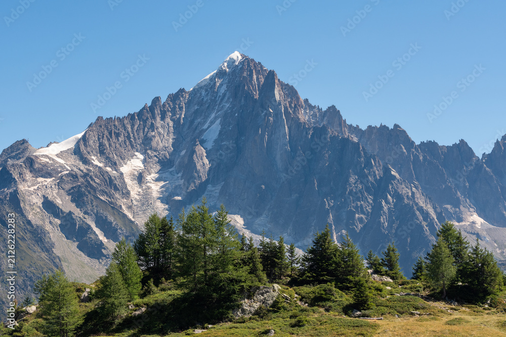 Obraz premium Majestic Sharp Peak of Aiguille Verte Framed by Alpine Trees in Chamonix, French Alps