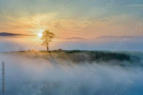 Obraz na płótnie Lone tree silhouetted against a golden sunrise above a sea of fog rolling over a