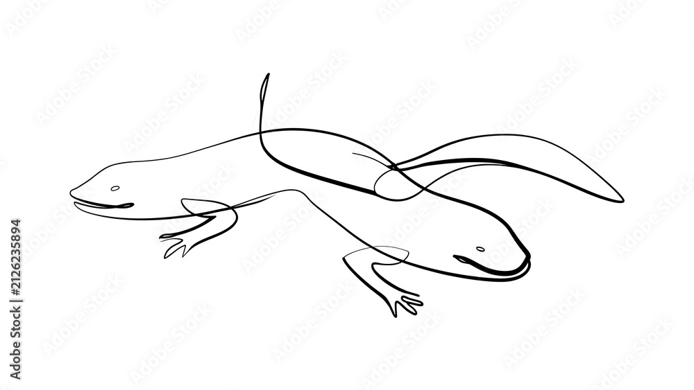 Fototapeta premium Minimalist line art salamander white background.